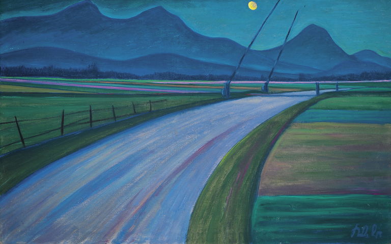 Nocturnal Landscape in Lower Carinthia