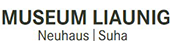 Museum Liaunig - Neuhaus / Suha