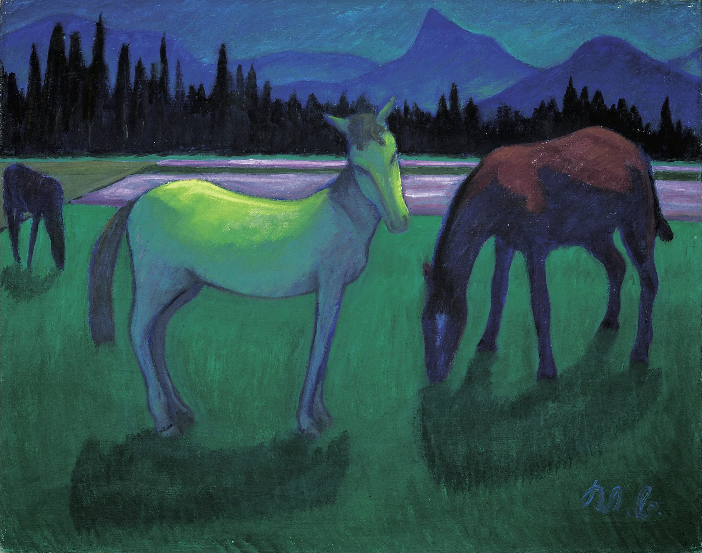 Pferde in der Nacht